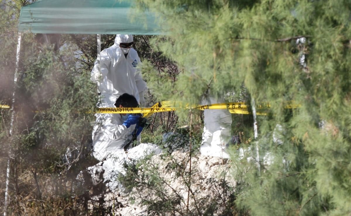 Localizan seis cuerpos en fosas clandestinas en Zitácuaro, Michoacán
