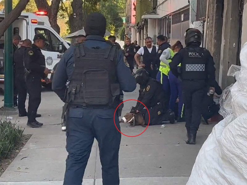 Policías capitalinos detienen a perro por morder a oficial; can habría defendido su hogar #VIDEO