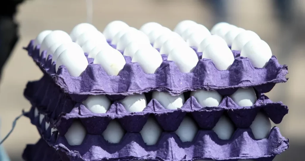 Unión Nacional de Avicultores garantiza abasto de huevo en México tras gripe aviar