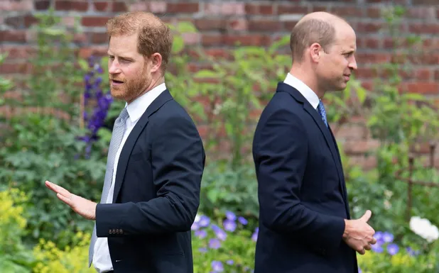 Fui criado para ofrecer órganos de repuesto a William, dice el príncipe Harry