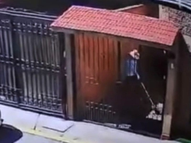 Denuncian a sujeto por matar a golpes a gato en calles de Edomex