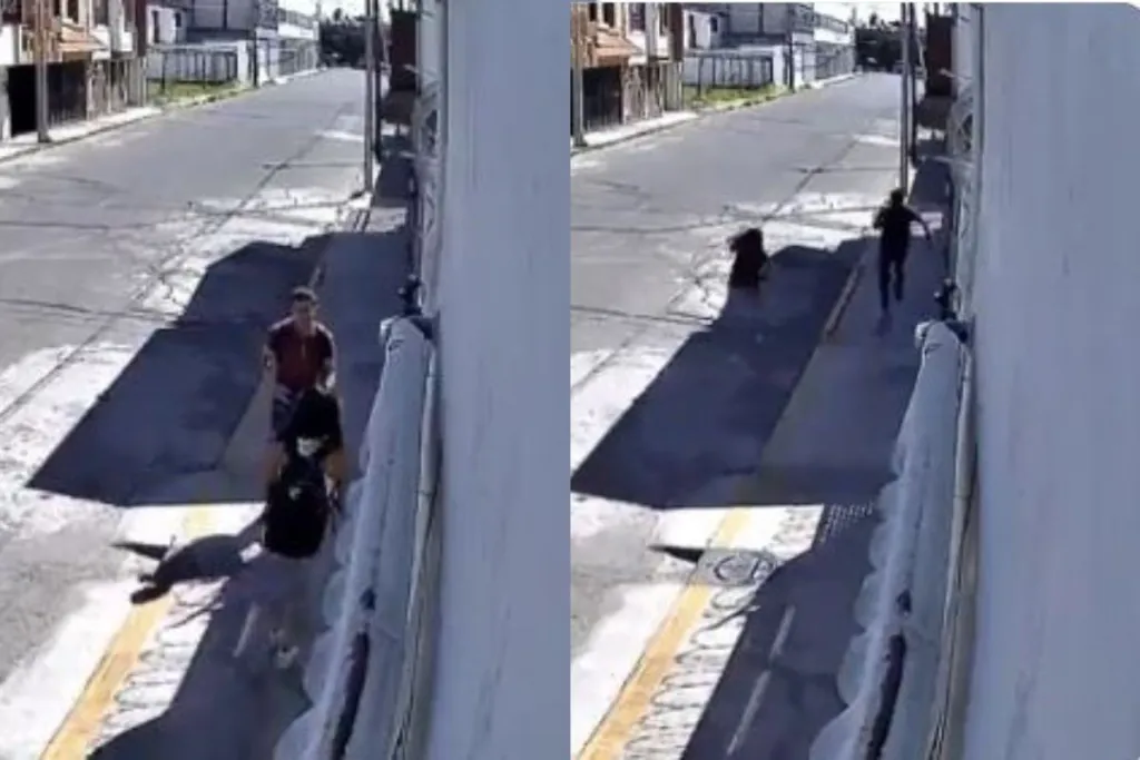 “¡Por favor, por favor!”: Cae asaltante exhibido tras agresión a joven en calles de Puebla #VIDEO