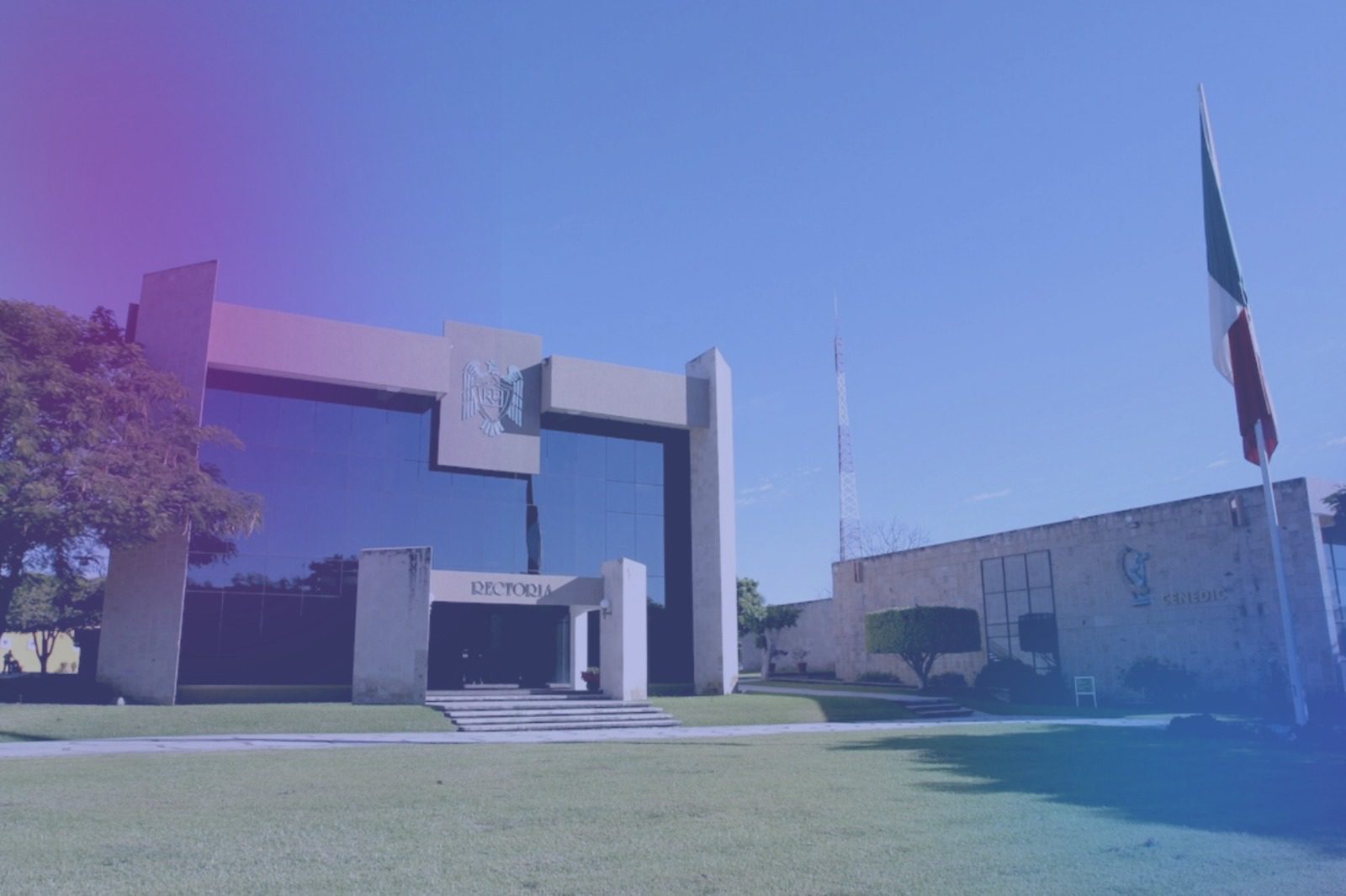 Suspenden a estudiantes de la Universidad de Colima por chat misógino y discriminatorio