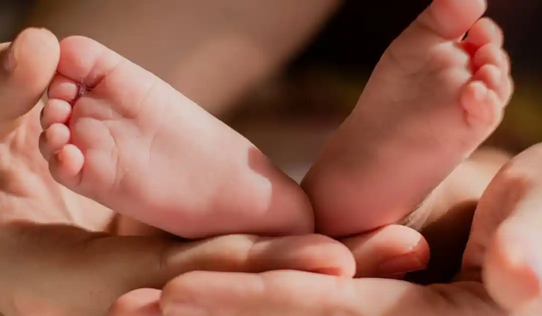 Leche materna de vacunadas contra el COVID-19 protege a bebés, según estudio