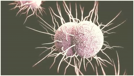 Detectan en EU un nueva cepa de gonorrea resistente a cinco tipos de antibióticos