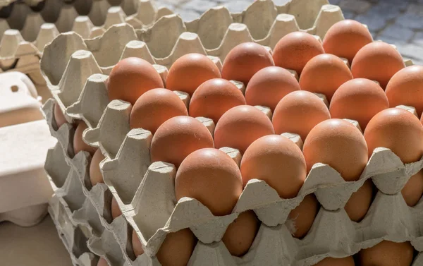 Aumenta el contrabando de huevos crudos desde México hacía EU
