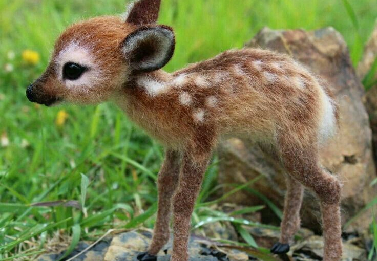 Cazador mata a su amigo al confundirlo con un venado en Dzemul, Yucatán