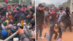 Captan estampida humana por boletos para el béisbol en Sinaloa #VIDEO