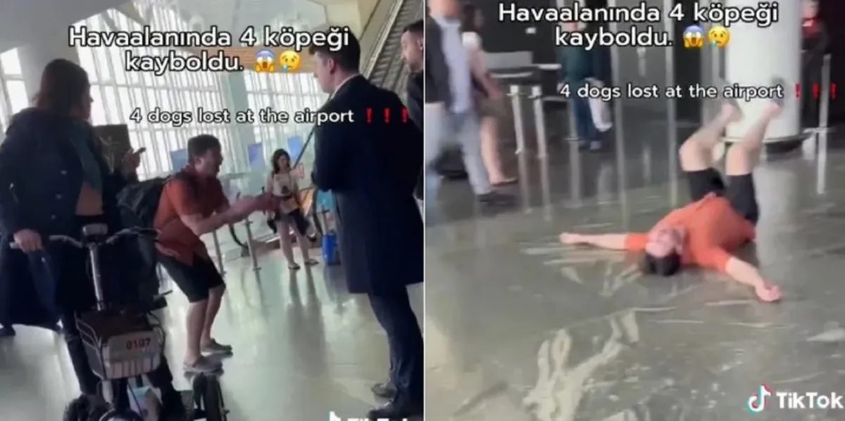 Hombre entra en pánico al enterarse de que la aerolínea perdió a sus 4 perritos