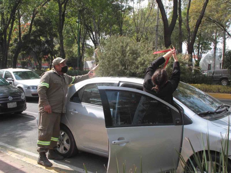 Inicia recolecta de árboles de Navidad para composta en la Benito Juárez