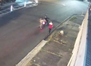 ¡Héroe! Perrito salva a su dueño de un asalto, pero le disparan en una pata #VIDEO
