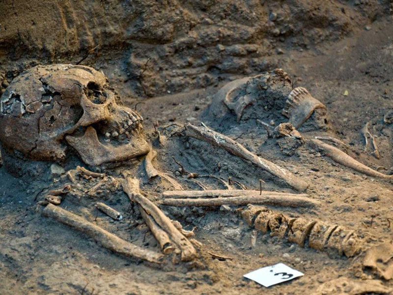 Descubren restos humanos en Bosque de Chapultepec