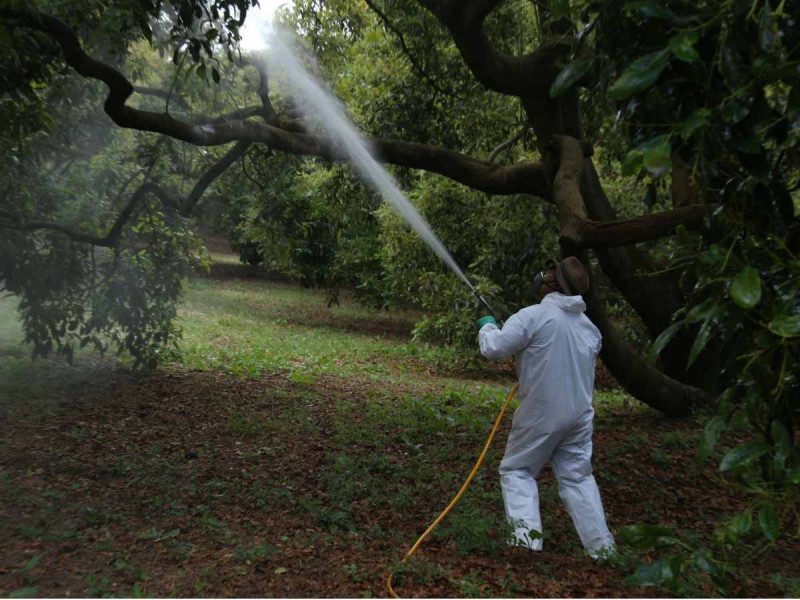 Por corrupción Cofepris destituye a 11 funcionarios