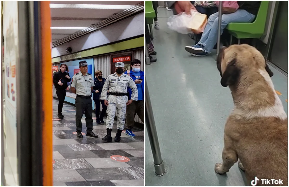 Elementos de seguridad y usuarios fallan en sacar a un perrito del Metro #VIDEO