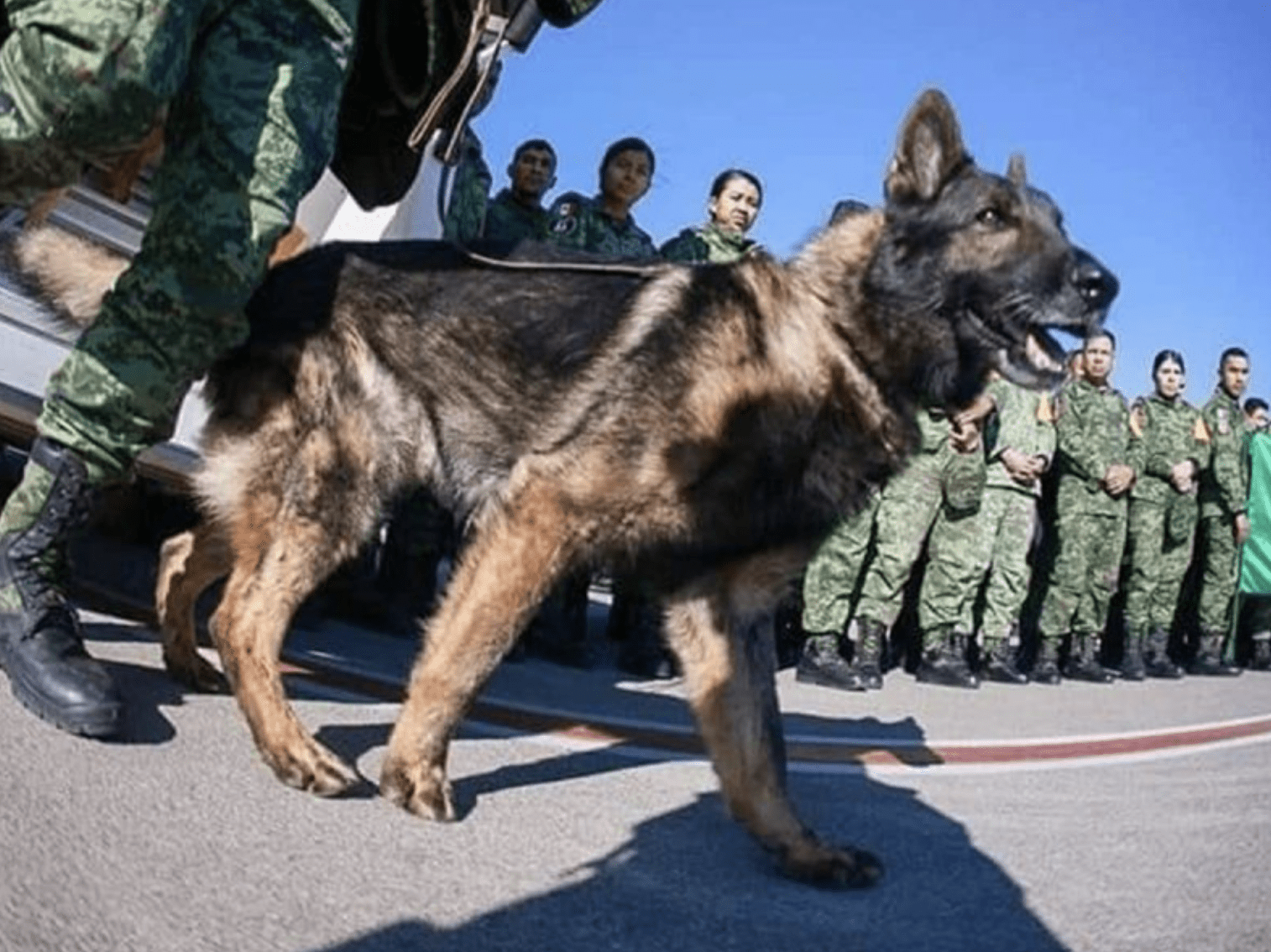 Proteo tuvo su último pase de lista