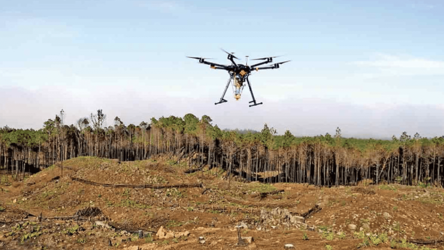 En Veracruz drones siembran vida