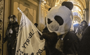 Panda será encarcelado en Estados Unidos