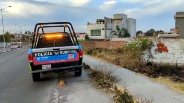 Localizan 6 cuerpos calcinados en Puebla