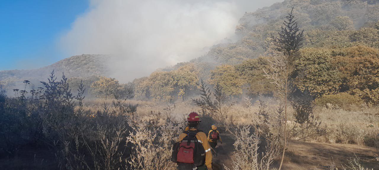 Enrique Alfaro agradeció a las y los bomberos que combaten sin tregua incendio en el Bosque la Primavera