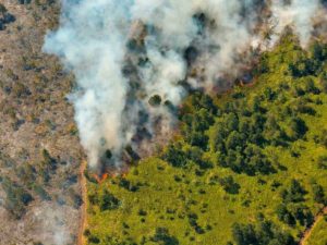 Incendio devora 2 mil hectáreas de bosques en Cuba