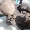 Momia encontrada en una mochila de repartidor, en Perú