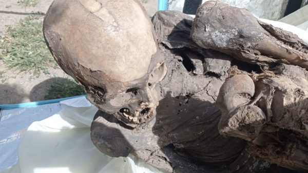 Momia encontrada en una mochila de repartidor, en Perú