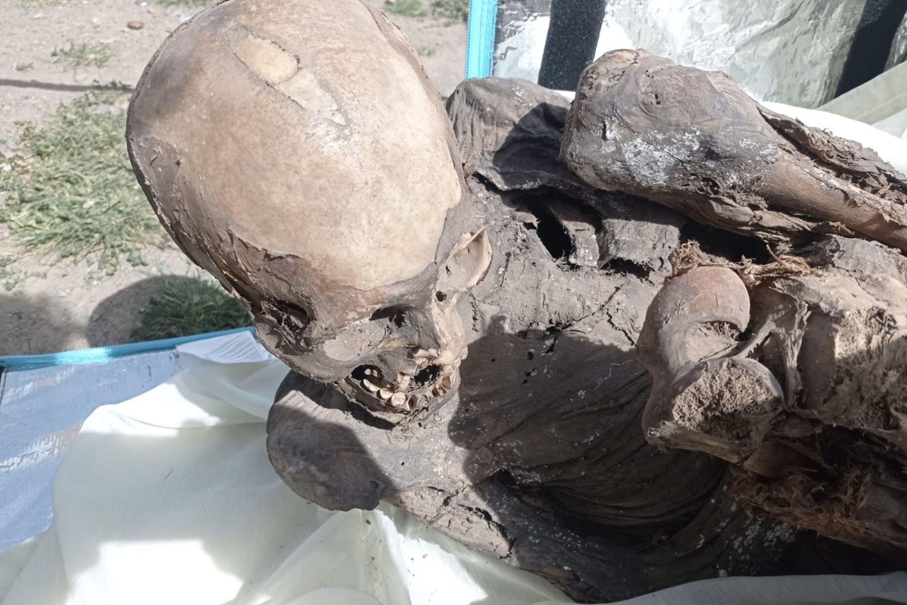 Momia encontrada en una mochila de repartidor, en Perú