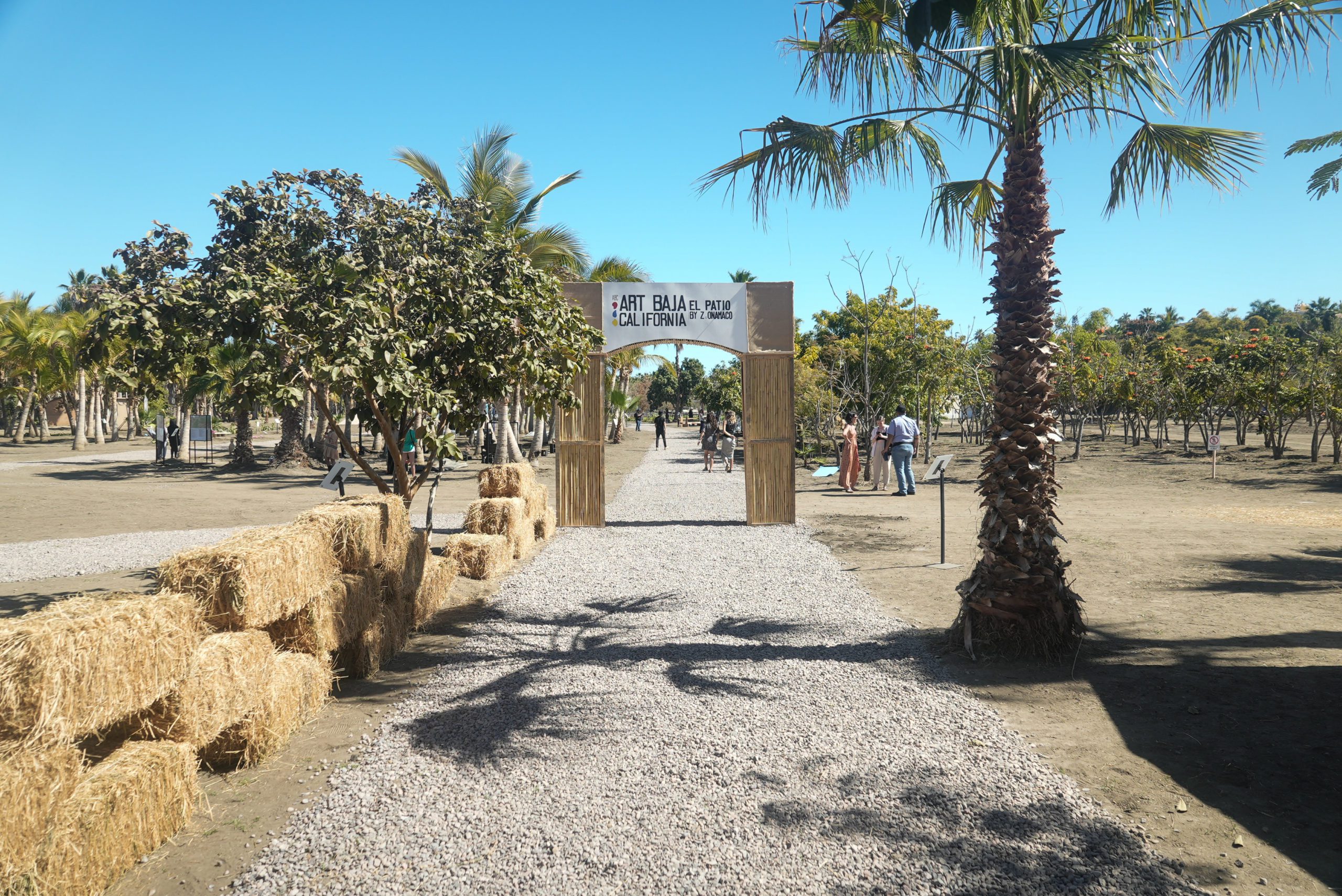 ABC Art Baja California: Inaugura festival de arte