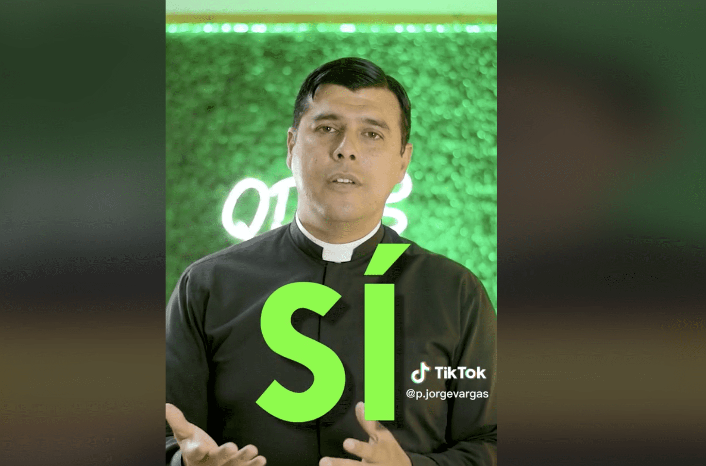 Los perros no son personas