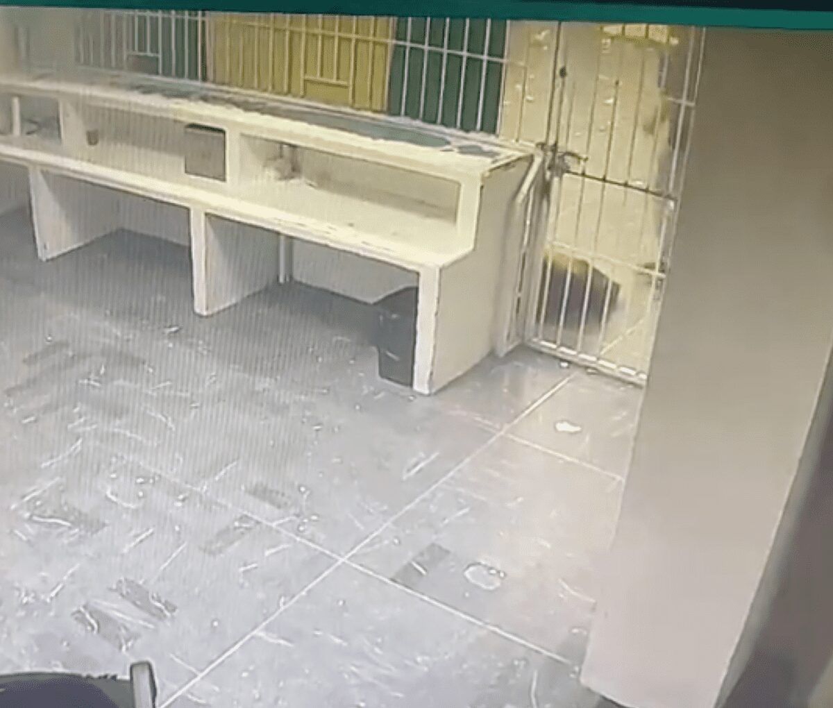 Filtran video del incendio en albergue del INM de Chihuahua