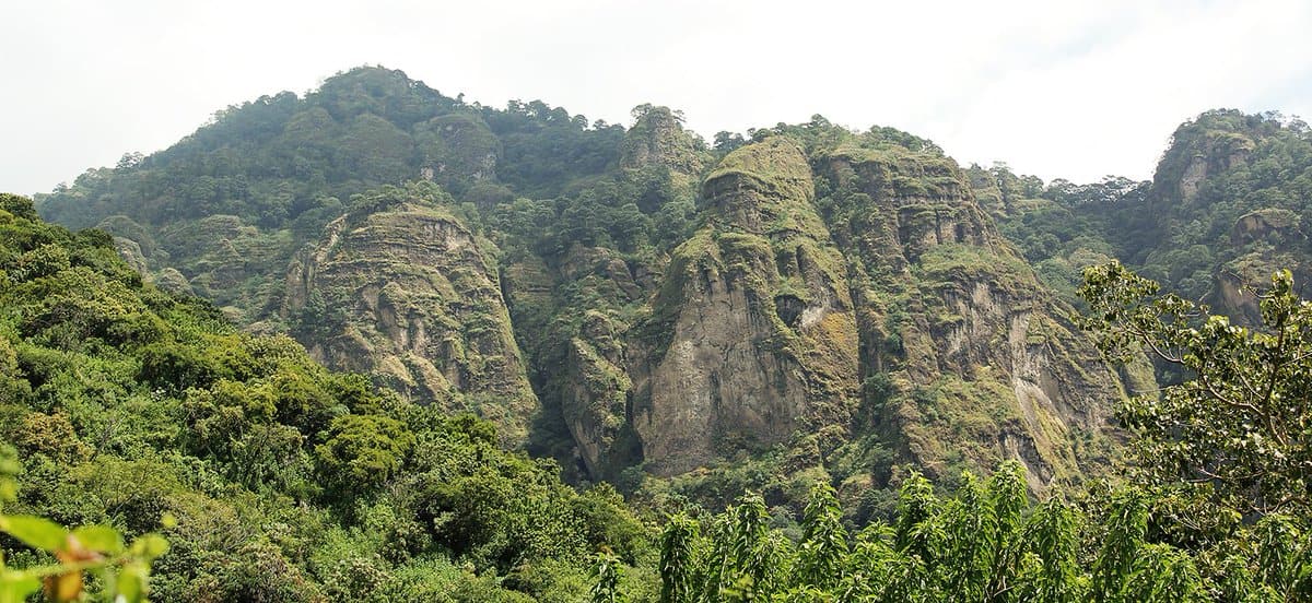 Siguen construcciones en áreas naturales protegidas, Profepa clausura obras en Tepoztlán