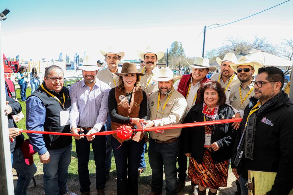 IMPULSAN AL SECTOR AGROPECUARIO DE BAJA CALIFORNIA