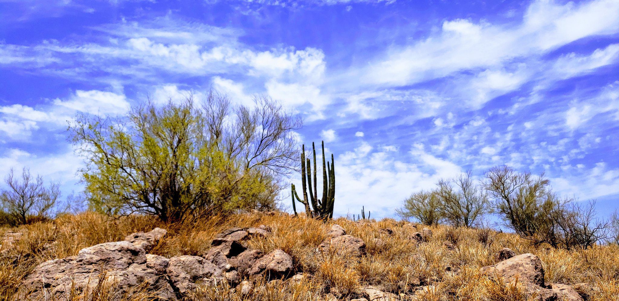 Continuará el ambiente muy caluroso en gran parte de México