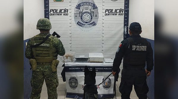 En Solidaridad aseguran droga en una paquetería
