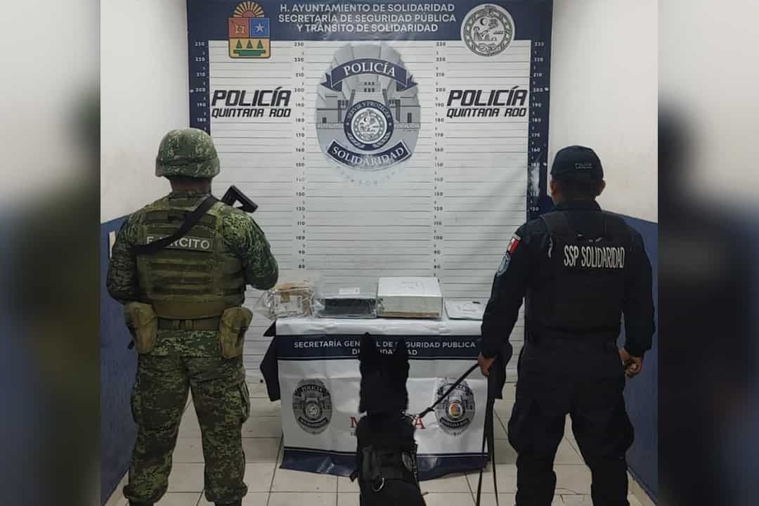 En Solidaridad aseguran droga en una paquetería