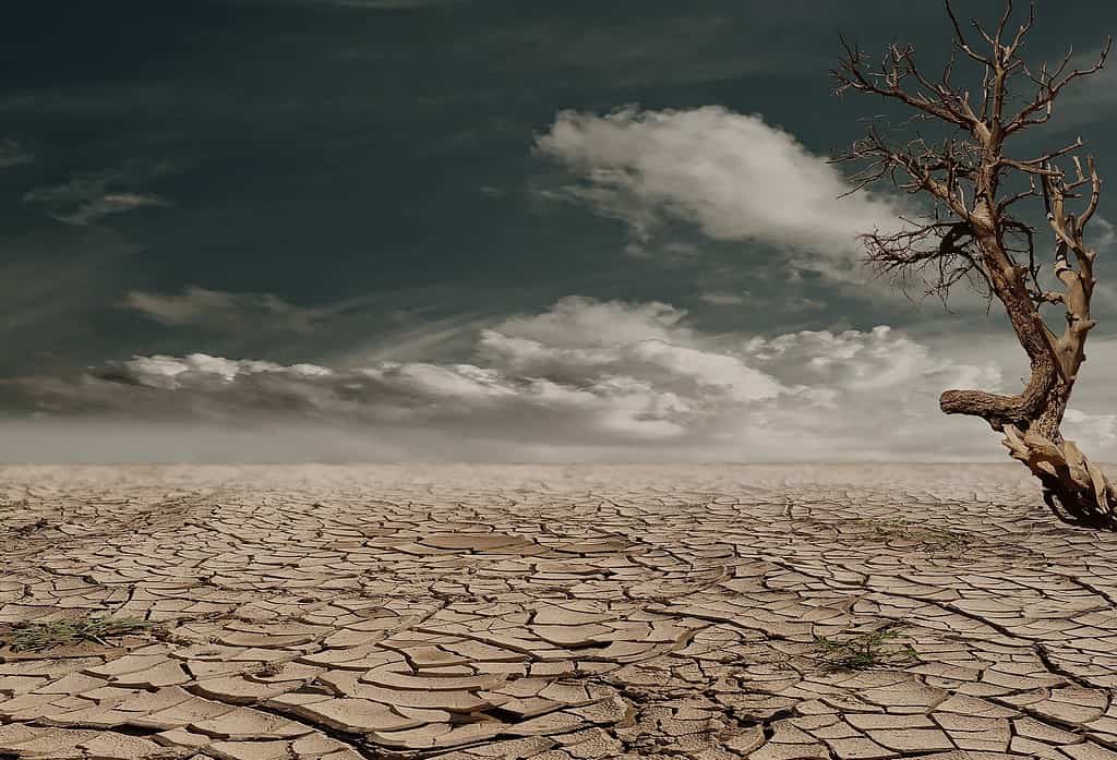 Se pueden evitar guerras por el agua, afirma especialista