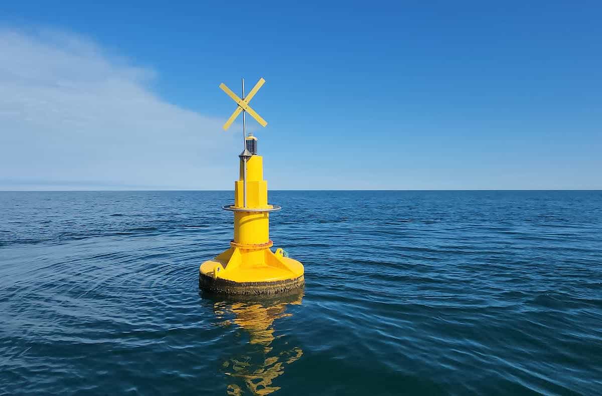 México suspenderá el comercio de especies protegidas por el CITES