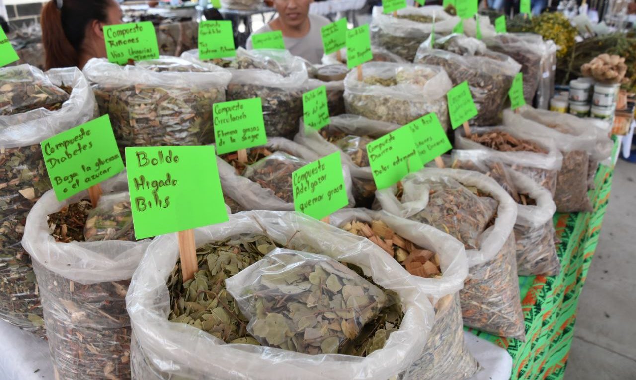 Incluirán medicina tradicional en Plan de Salud IMSS Bienestar