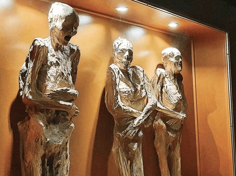 Trasladan momias de Guanajuato a CDMX sin permiso del INAH