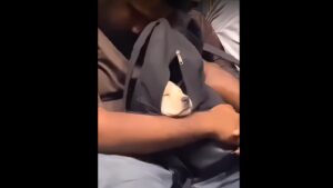Cachorro y su dueño se quedan dormidos en el transporte público