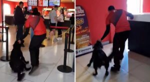 Indigna en redes sociales forma en cómo un can es sacado de Cinemex