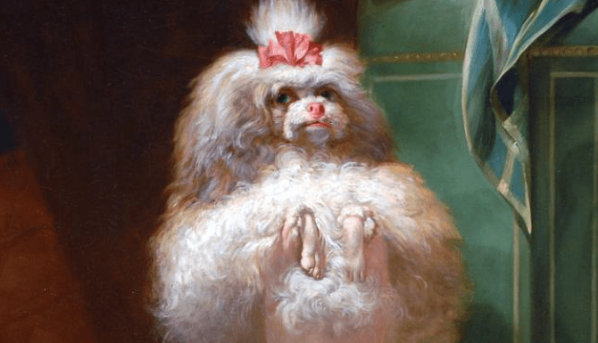 Conoce esta expo de arte dedicada a “lomitos” 