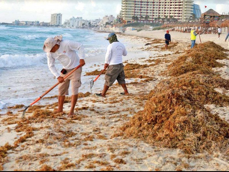 IMPLEMENTAN OPERATIVO CONTRA EL SARGAZO EN CANCÚN; SE PREPARAN PARA LA SEMANA SANTA