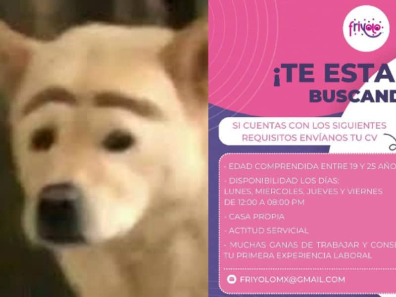 Tunden en redes a heladería por requisitos para vacante