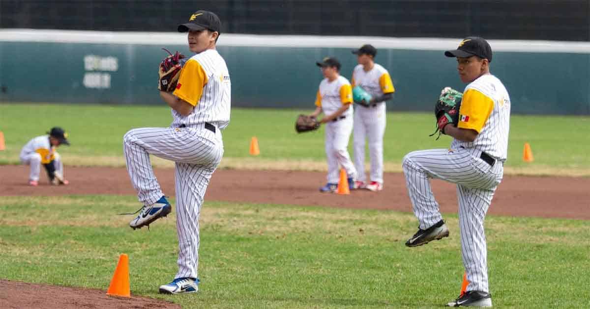 Alista IMSS clínicas gratuitas de béisbol