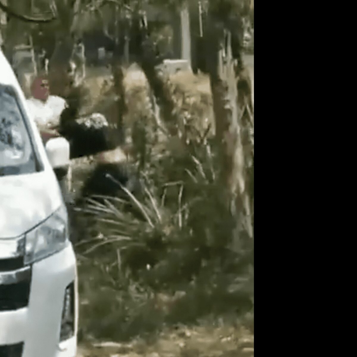 Agentes de migración golpean a extranjeros en Raudales Malpaso, Chiapas