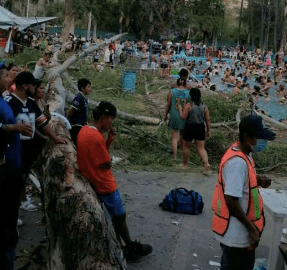 Bebé muere al derrumbarse un árbol sobre él