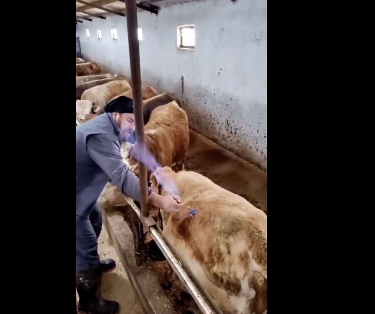 ¿Exceso de gases en el estómago?, ¡aquí está la solución!