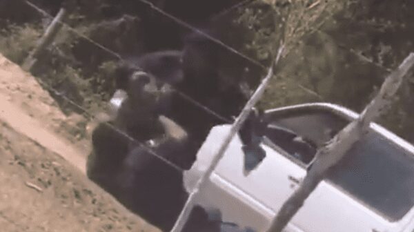 Golpiza entre policías es captada en vídeo