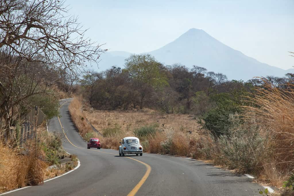 Hallan con vida a 23 guanajuatenses desaparecidos en su camino a Coahuila